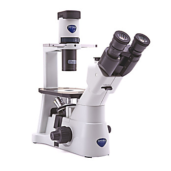 Inverted Brightfield & Phase Microscope