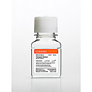 Transport Medium: Mix of HBSS, HI FBS, Amphotericin B, and Gentamicin