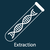 Extraction