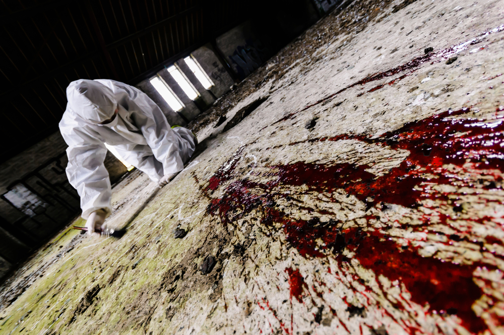 bloodstains on a carpet