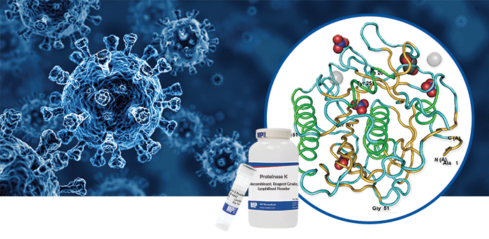 Proteinase K
