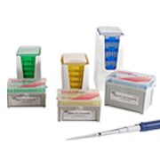 labForce